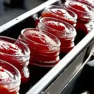 Llenadoras de alimentos y bebidas