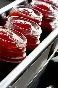 Llenadoras de alimentos y bebidas